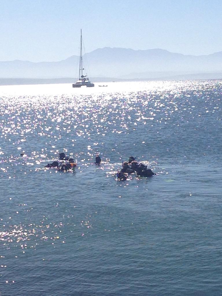 Electrodive's tweet photo. #scuba weekend http://t.co/V9Sa4Hum7p