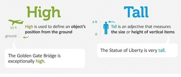 High or Tall?