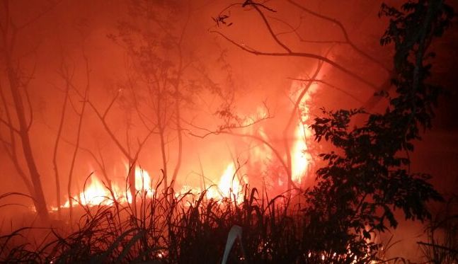 NotiUno's tweet photo. Advierten meterán presos a quienes provoquen fuegos forestales http://t.co/lMA6UL48lb http://t.co/SuZmk4B9pI