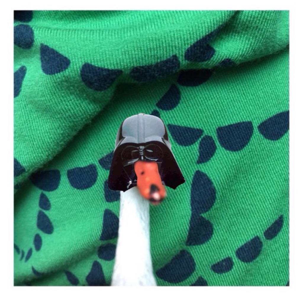 themudcrusher's tweet photo. May the fourth be with you! #IHeartSwanThings #Swanwars #Mudcrusher @adventuresofswan http://t.co/fUofNkRcqe