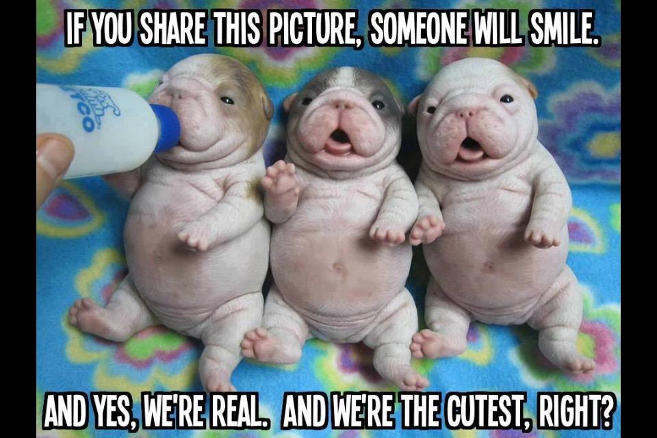 lamanda mclaughlin tweet media