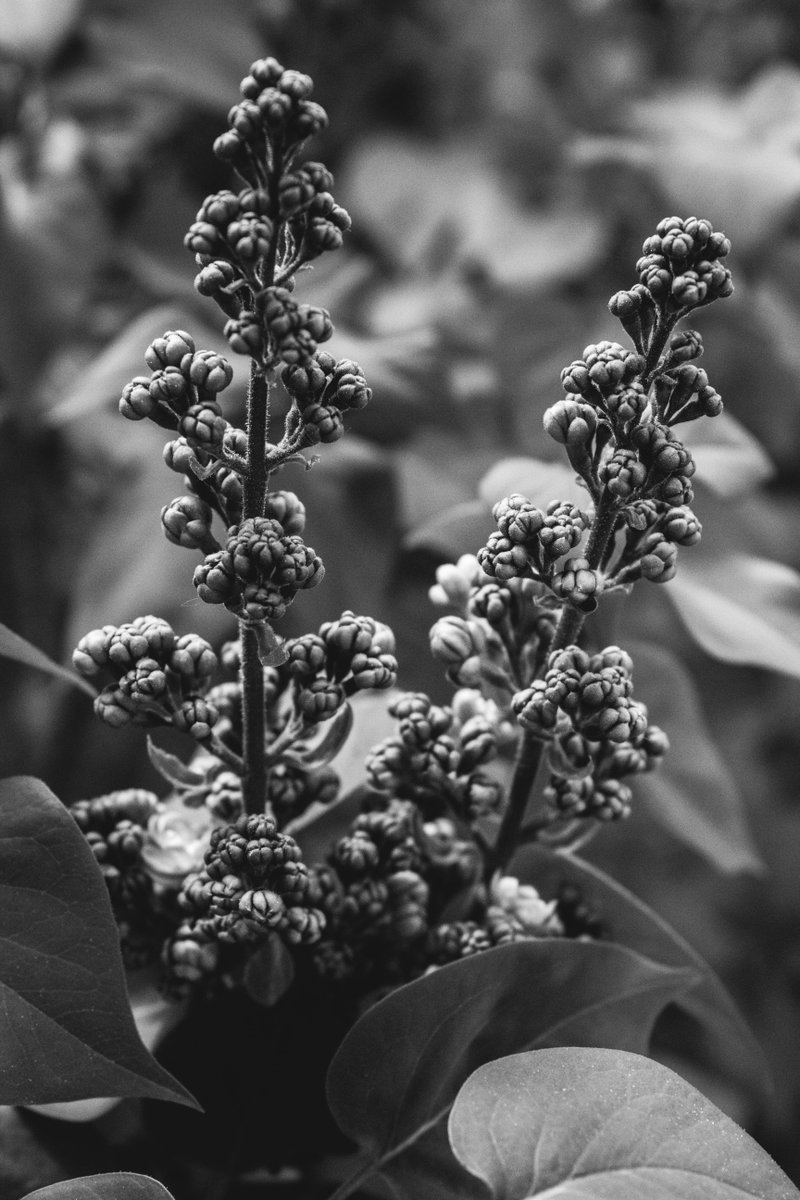 LCVTH's tweet photo. Get it as a wallpaper ...
•http://t.co/PYT6Y9cr0a•
#bloggerswanted @simpsonsparadox http://t.co/S1CWKWrXGo