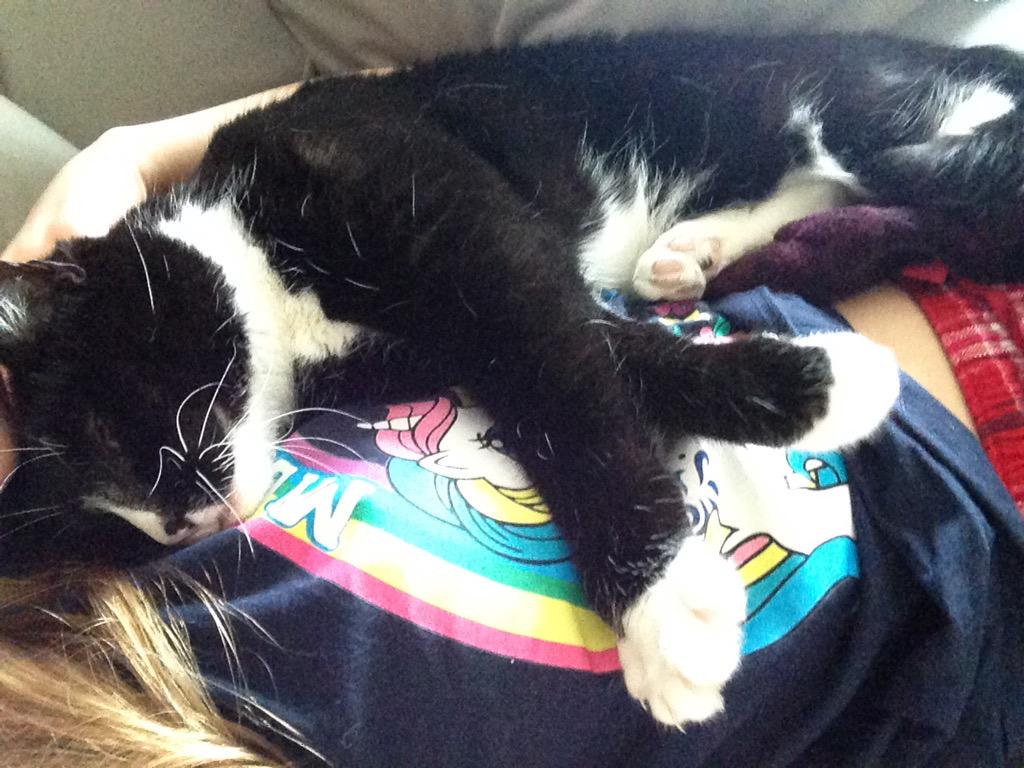  HAPPY BIRTHDAY TO THE BEST. enjoy these pictures of my cat 