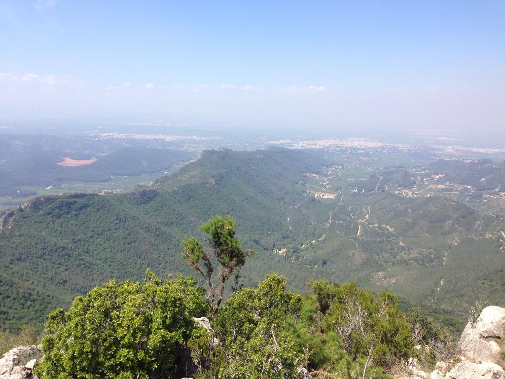 EntrenaSport's tweet photo. Elegeix EntrenaSport el teu entrenador. Elige EntrenaSport tu entrenador #TrailRunning #trainingHard #TrainingHappy http://t.co/St8Y8Q5g4M