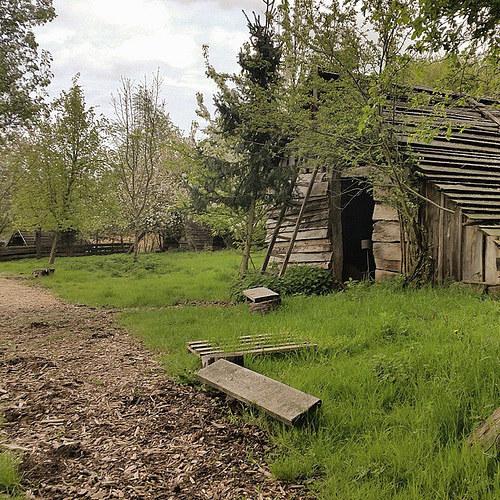 Quarteragent's tweet image. Zu Hause bei den Wikingern. Ich wusste gar nicht, dass in Alfeld immer noch einige Wikinger leben. #Wikinger #wikin…