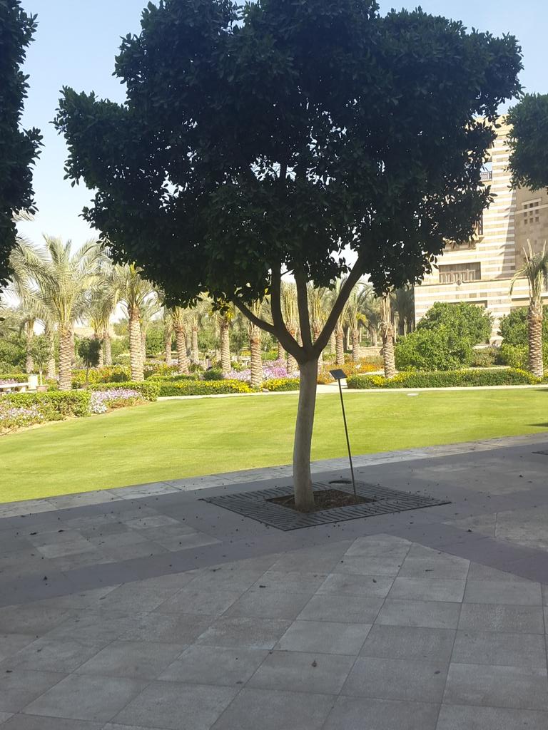 MonikaEbeid's tweet photo. Guess where this is? #GamesEg @Bali_Maha @games_eg http://t.co/MxGWayDqC0