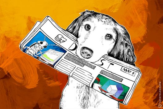 Cointelegraph's tweet image. MAY 4 DIGEST: Melotic Exchange Shuts Down, CNET Founder Wants to Bring… dlvr.it/9g6HkN #Digest #Melotic
