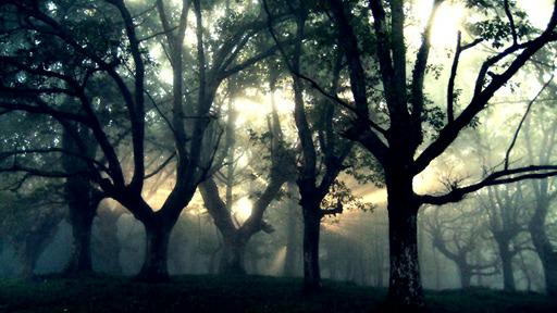 karla valencia… (@alrak666) on Twitter photo 