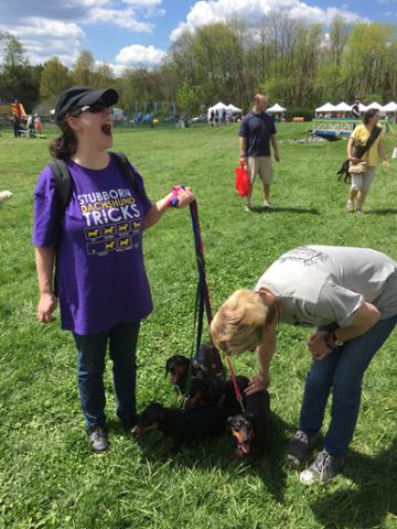 Club_Pooche's tweet photo. A few photos from #DogDay15 on May 2nd. #HoCo http://t.co/vCUutWfWPc