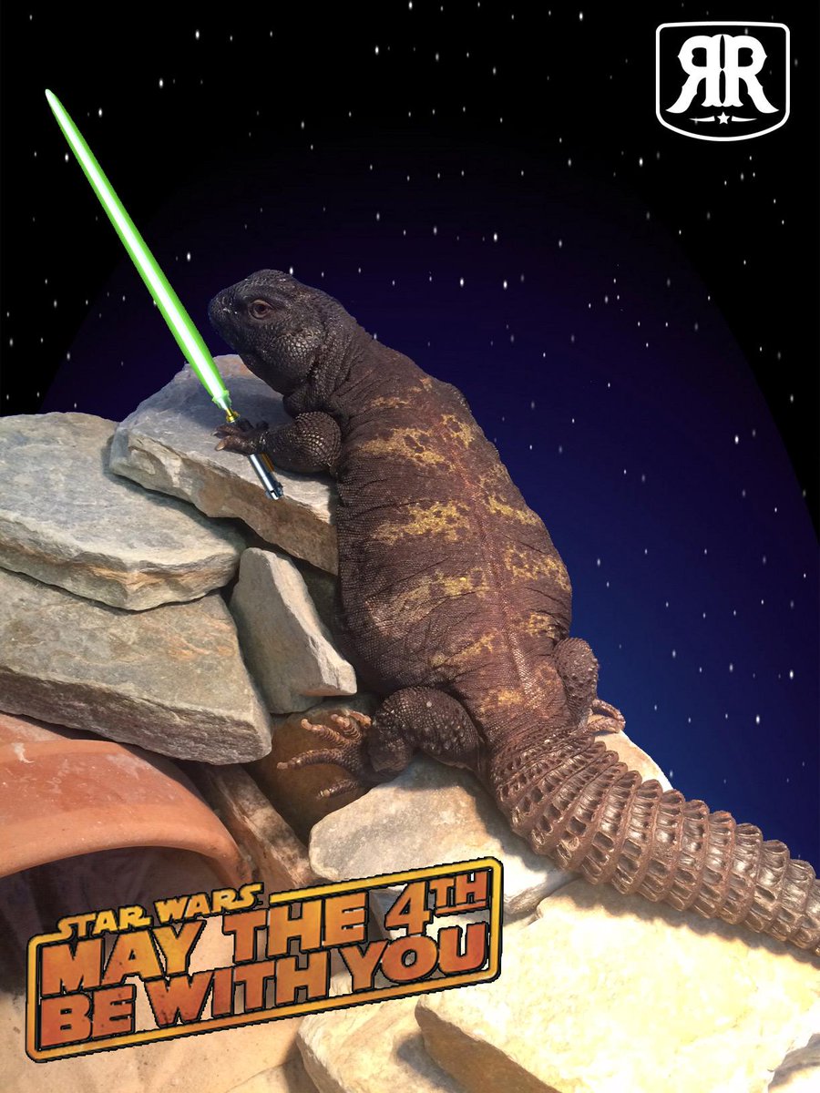 RescueRanchNC's tweet photo. #StarWarsDay Our Jabba the Hut wishes everyone a great day! #RRAnAn http://t.co/J8et6ygtFI