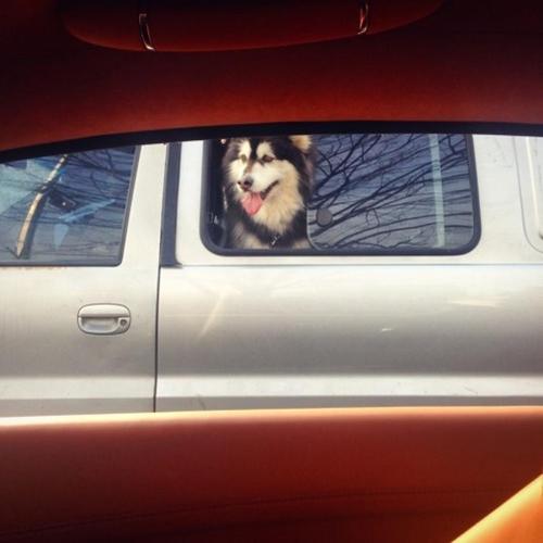 【NEWS】B-FREE、PLAY$TAR、S'WAY.D 「KAWASAKI」・Verbal Jint 「건물주 flow」 hiphopkonvey.com/new/20150504.p…