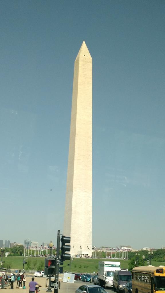 d__lacu's tweet photo. #dcskylion Its too big http://t.co/xB0WYVocli