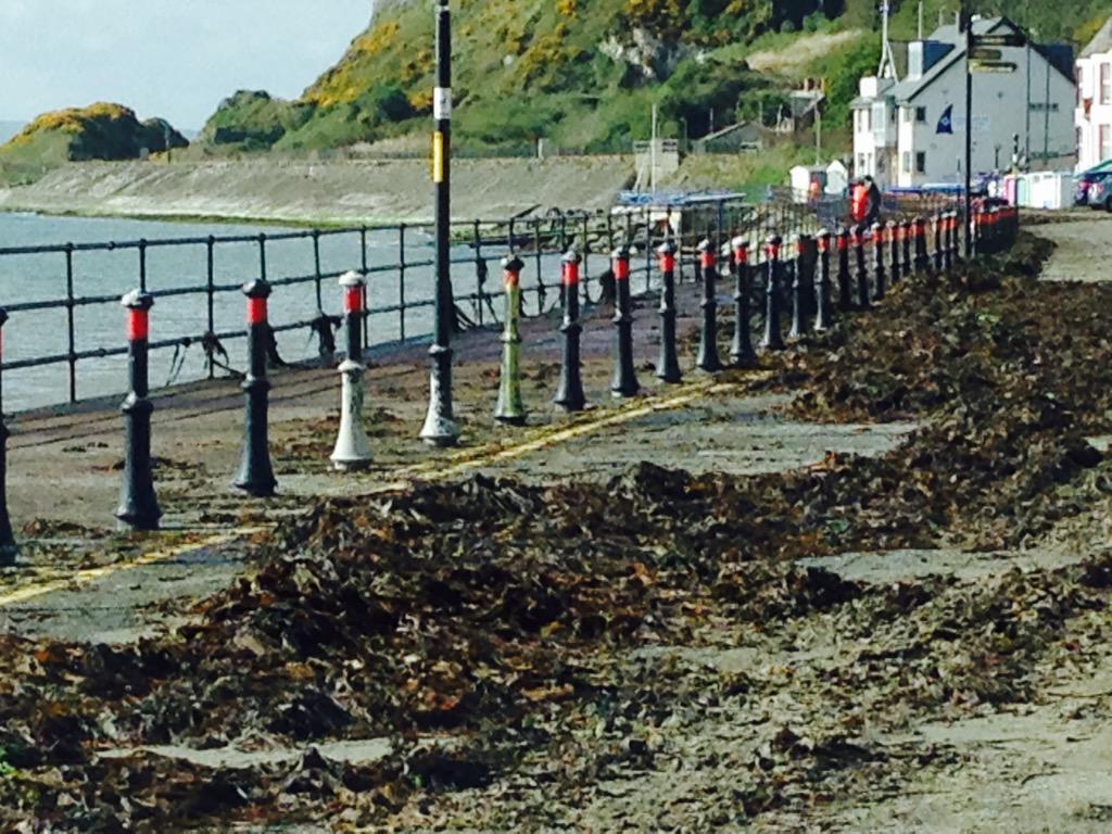 russtillhere's tweet photo. @barrabest  #whitehead #TheAftermath http://t.co/1Bdg5T7loc