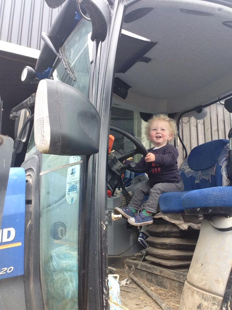 thecuttingpatch's tweet image. Putting the youngest to work !! #busybusy
