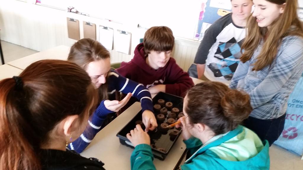 RPSRavens's tweet photo. 7 Marr is planting seeds for the #tomatoesphere project, we are researching with @csa_asc #SpaceTomatoes http://t.co/U8bwgaxBys