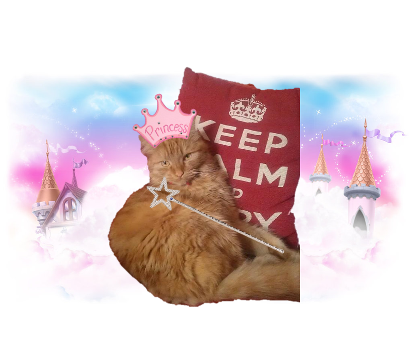 just_emmma's tweet image. Princess Charlie.. #princessofcambridge #princesscharlotte #princesscharlie