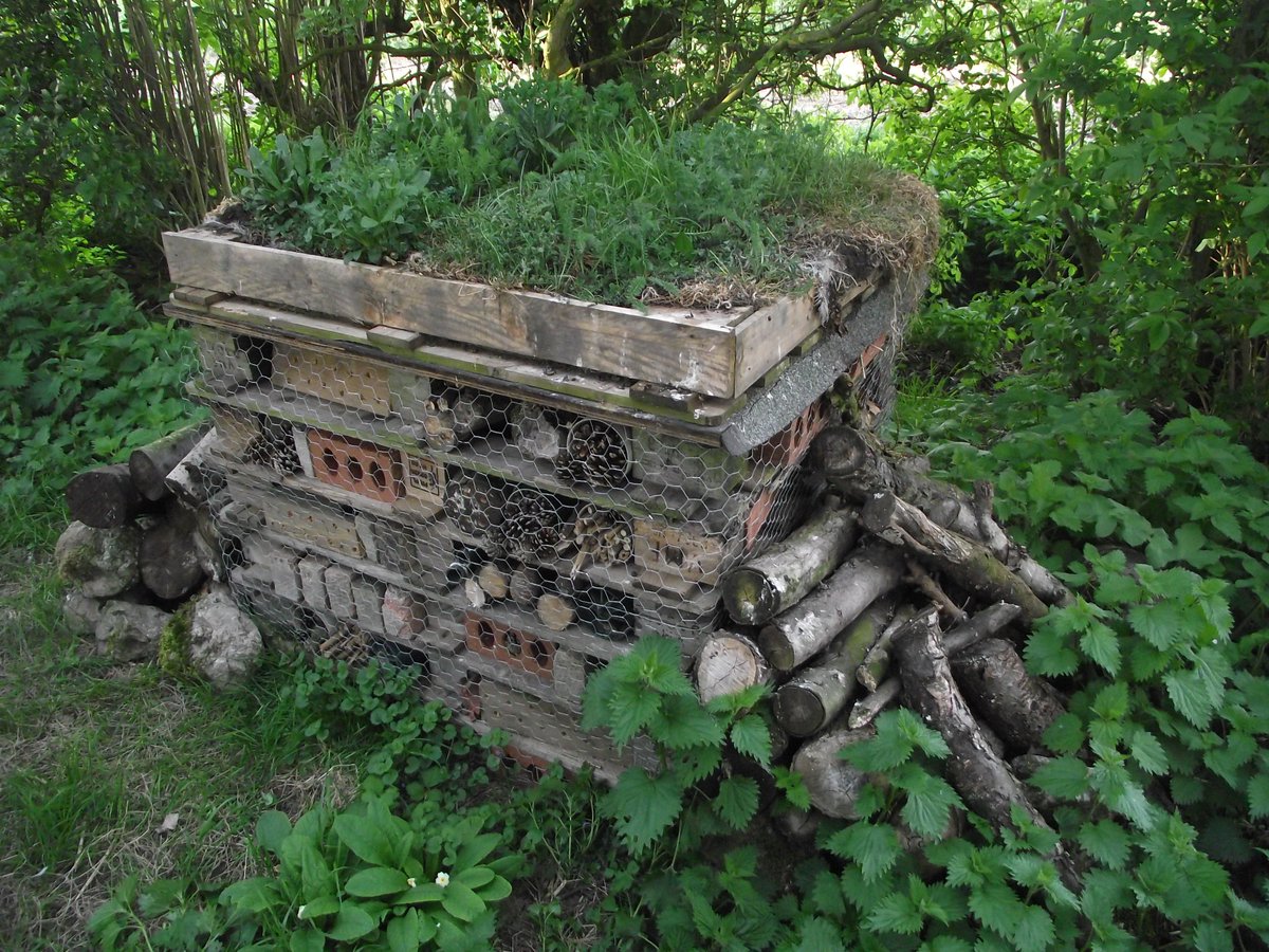 tillersturf's tweet photo. Fantastic bug hotel @bostongolfclub with greenroof using Flora Verdi from @tillersturf #golfenvironment http://t.co/bu0PkIsz51