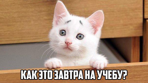 Так быстро время пролетело..((