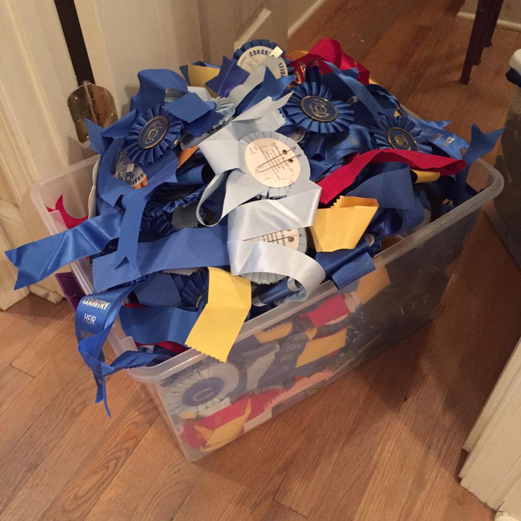 HungoverHunter's tweet photo. Last season had me like 😎👌🏼🏆🏇🏼 #equestrianproblems http://t.co/P5jwQNeZVu