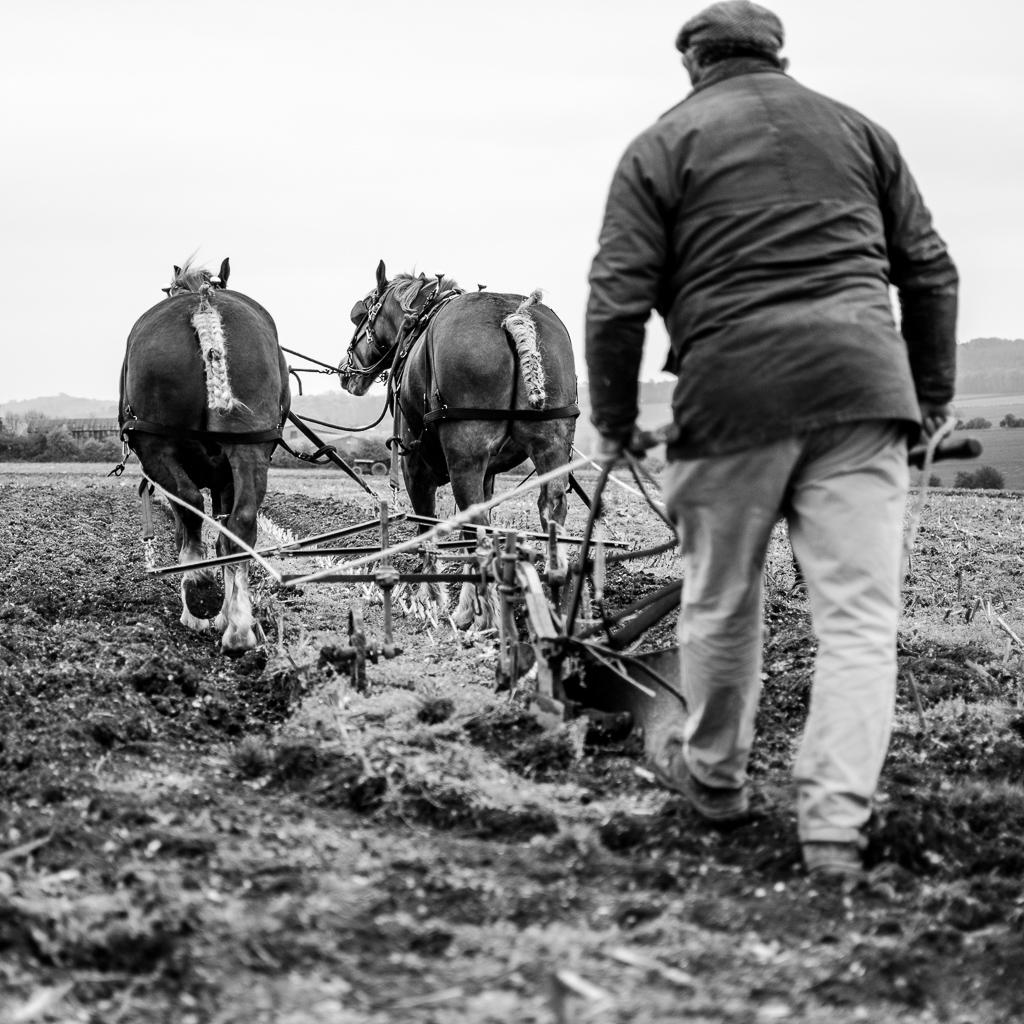 Times gone by - #HorseHour #yesterdaysfarming #ploughing #blackandwhitephotography