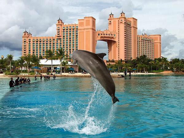 ExploreVibe's tweet photo. Atlantis, Bahamas🌴🌺 http://t.co/AmqKwMgzwR