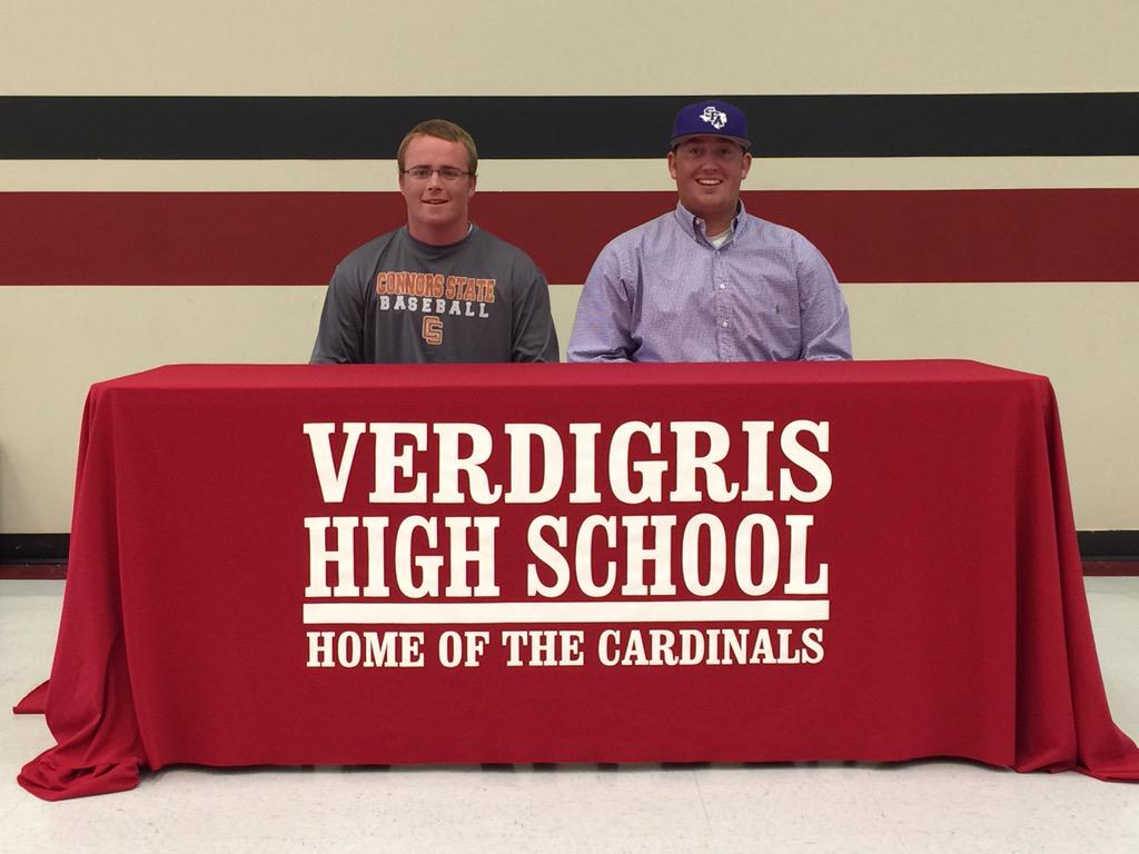 Verdigris Baseball tweet media