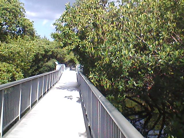 SkinoutSoldier's tweet photo. Morning Ride!  Sunday Date with Nature. http://t.co/Hcv5V9P6D5