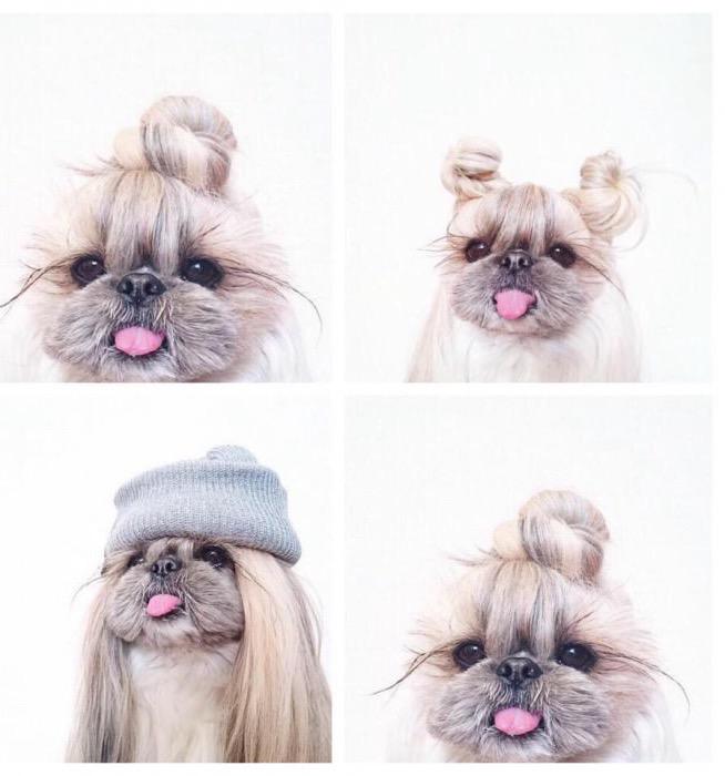 Popiliadam On Twitter Surekli Dili Disarda Poz Veren Instagirl Temsili Falan Degil Ta Kendisi Http T Co 9ntb9bfq51