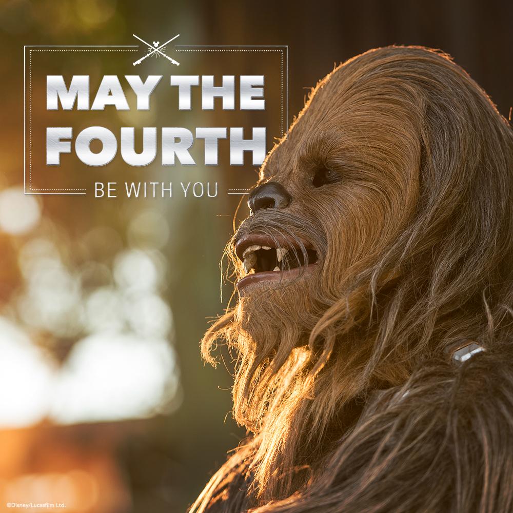 WaltDisneyWorld's tweet photo. Happy May the 4th! #MayThe4thBeWithYou http://t.co/xUhMLHzEeb