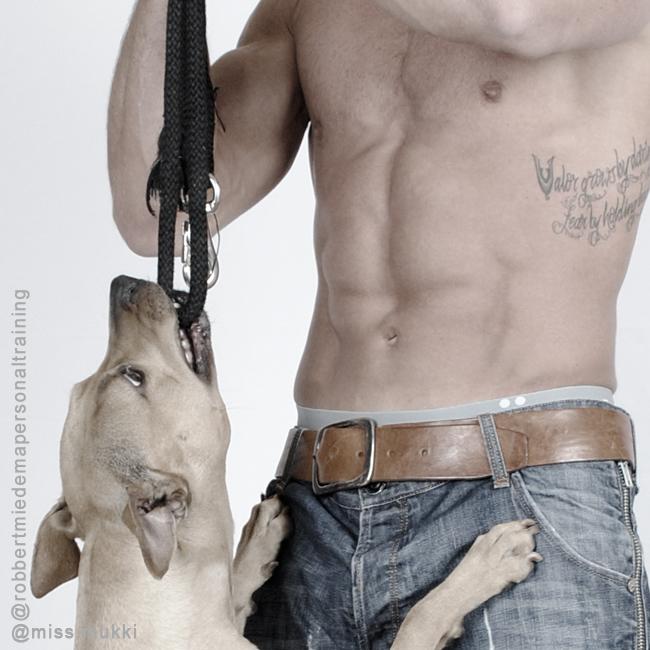 missmukki's tweet photo. miss Mukki 
Follow me on instagram @ miss.mukki
#missmukki #dogs #fitnessmodel #gymlife #training #pitbull http://t.co/UMGoc41AzQ