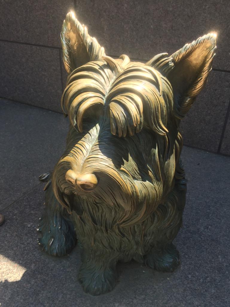 miriamr2015's tweet photo. We just visited the FDR memorial!! This is the first dog to be shown at a presidential memorial. #dcskylion http://t.co/FjXIBAi37H