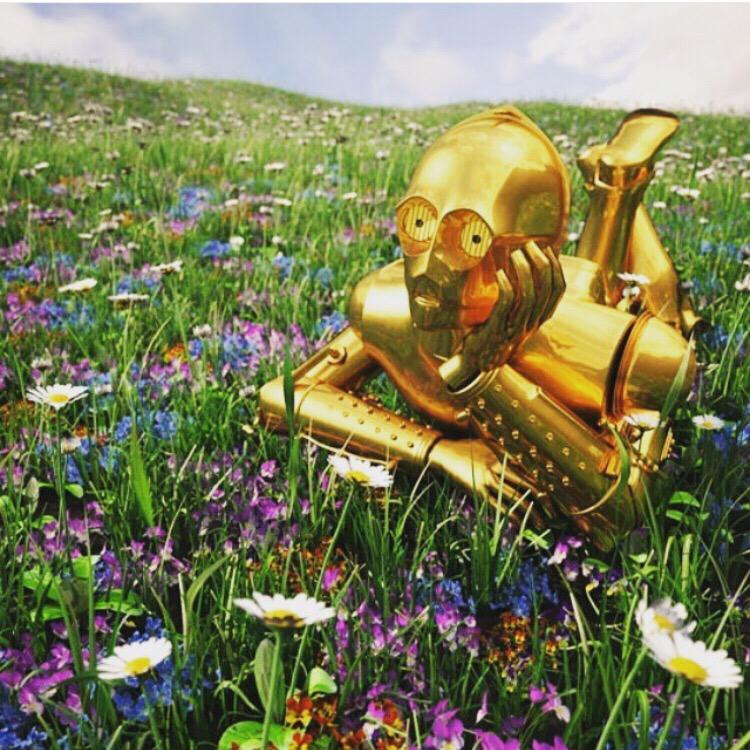 FayeReneeEvents's tweet photo. #MayThe4thBeWithYou http://t.co/WQsfVRhlhr
