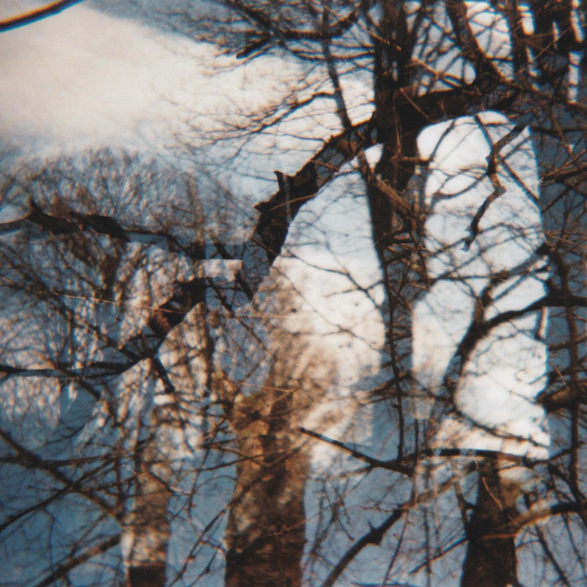 danrmartin's tweet photo. DIY camera photos: first examples - came out better than i expected! #lomography #konstrucktor http://t.co/aixzAbeTFi http://t.co/PIopkdDQrj