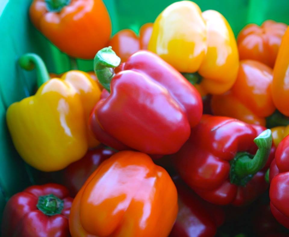 Goldstream_Mkt's tweet image. The best locally grown peppers! ow.ly/MtMCq  #yyj #farmersmarket #peppers