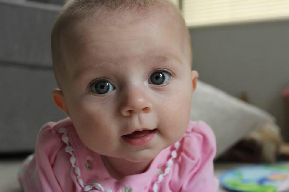 lildebbie5's tweet photo. @CanonUSAimaging Happy Monday! #CanonBabySweeps http://t.co/AnknIfb5kY