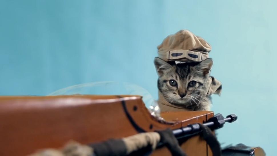 nerdist's tweet image. Holy cats! @GeekandSundry remade the #StarWars teaser - w/ KITTENS! nerdi.st/1R6QHsv #MayThe4th by @RachelHeine