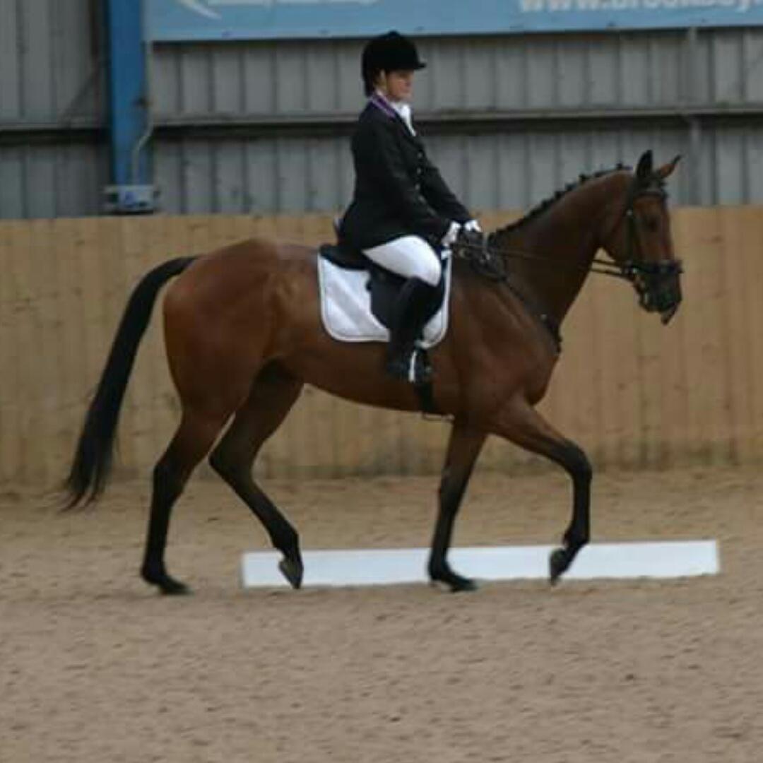 AmiMaclean's tweet photo. Dressage #AlbatrossAdventures http://t.co/H7gji09zMI