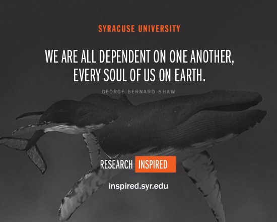 SyracuseU's tweet photo. Treating Alzheimer’s. Studying whale behaviors. This is #ResearchInspired. What inspires you? http://t.co/ERZ9PshyKj http://t.co/10whw0wouR
