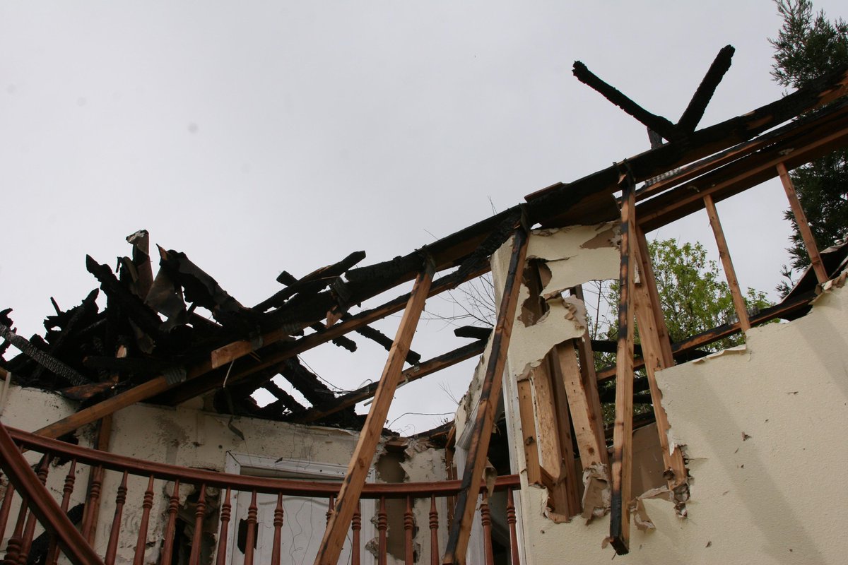 Silvia Burley tweet media