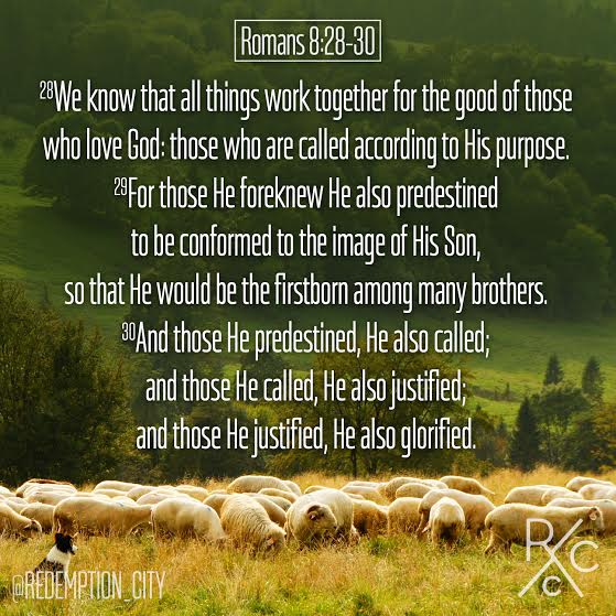 Memorize Romans 8:28-30 with us! 

instagram.com/p/2RTFaErmSq/?…