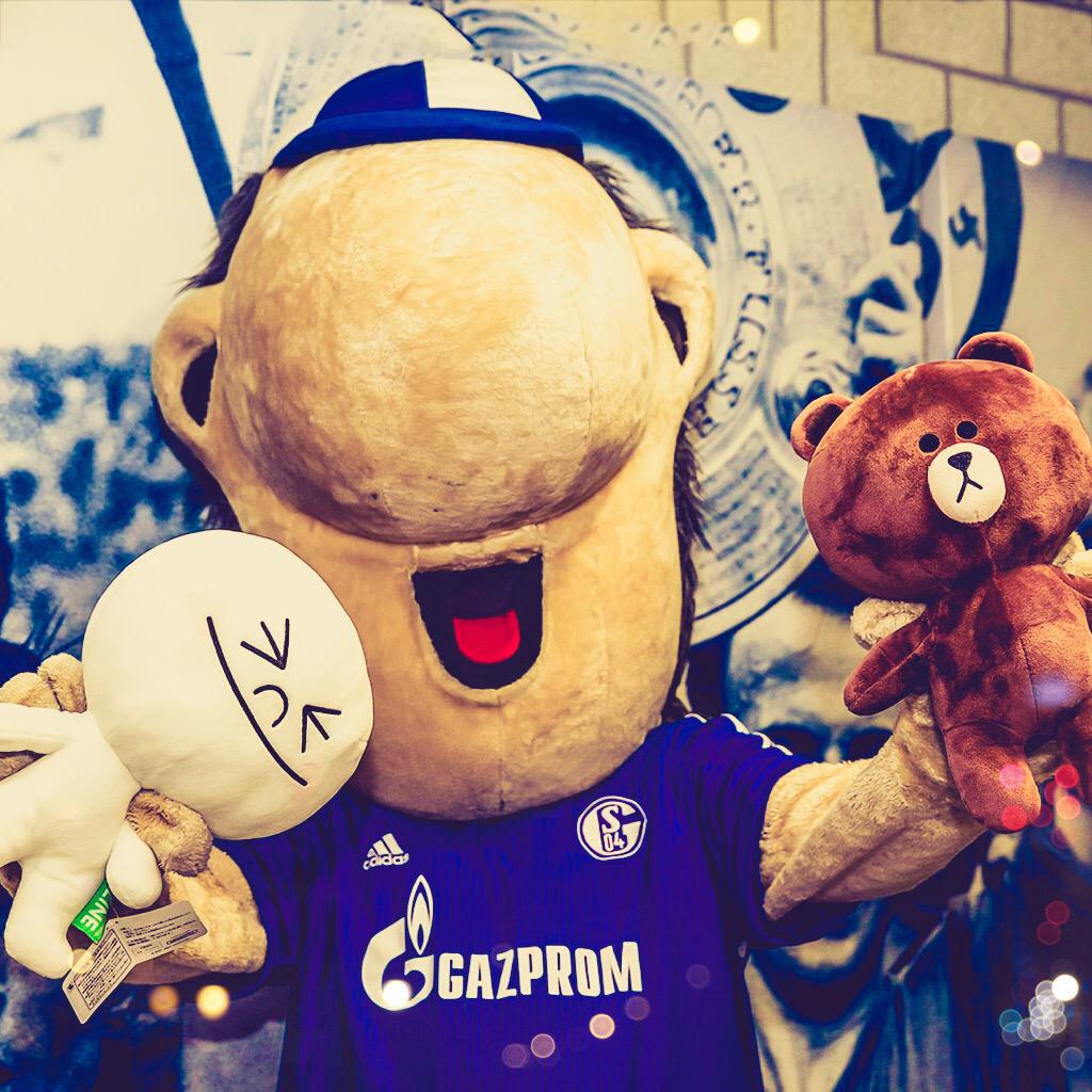 FC Schalke 04 Maskottchen Erwin - 30 Cm Plüschtier S04 Fanartikel