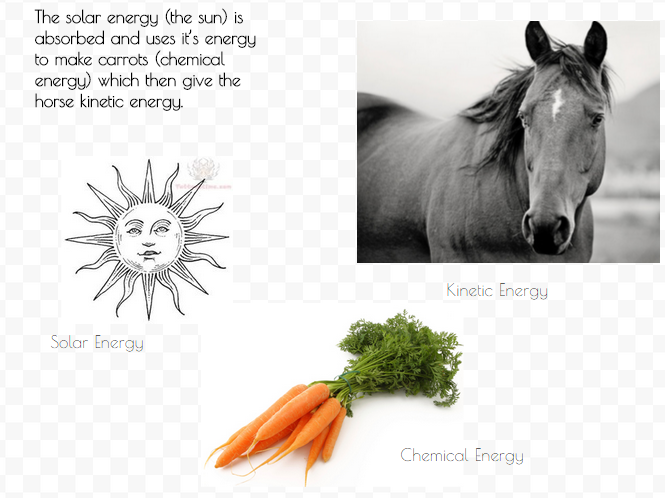 aRunningWild33's tweet photo. #209energy http://t.co/txe1e1kDmU