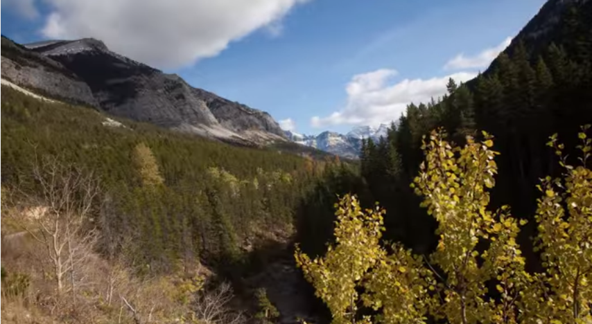 mywatertonca's tweet photo. Come on a virtual tour of Waterton! #mywaterton http://t.co/QvgR1JKG0M http://t.co/u2TLuRlLL9