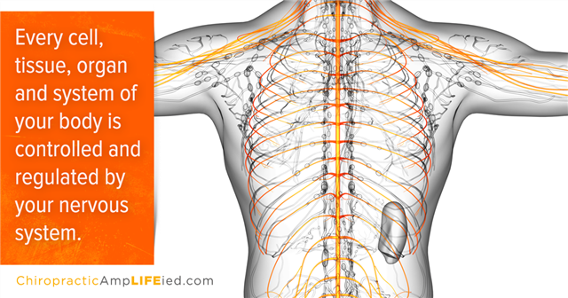 chiropractic4h tweet picture