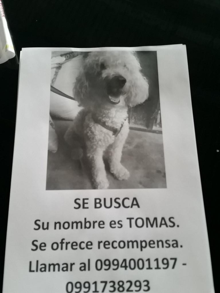 Mafernandaprr's tweet photo. Ayuden a Encontrarlo . http://t.co/9yzT1iLpcD