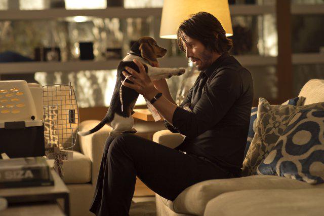 IMDb on X: Keanu Reeves will reunite with his filmmaking team for 'John  Wick 2':   / X