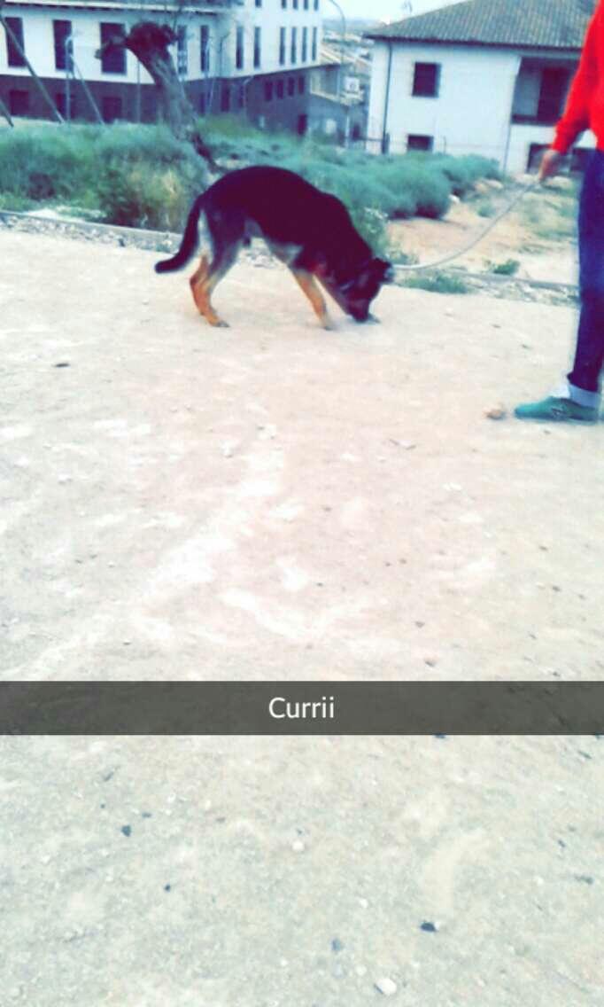 MGR1811's tweet photo. Felices 10 meses🙈🐶 @davidferrerkb9 http://t.co/oOvOn4DwD2