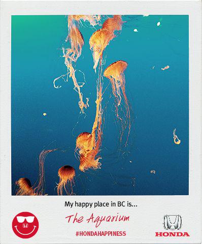 level11comms's tweet photo. Follow @BCHonda and tell them about your #hondahappiness place in BC and you could WIN a $1000 prepaid credit card! http://t.co/lWOeSpzVTT
