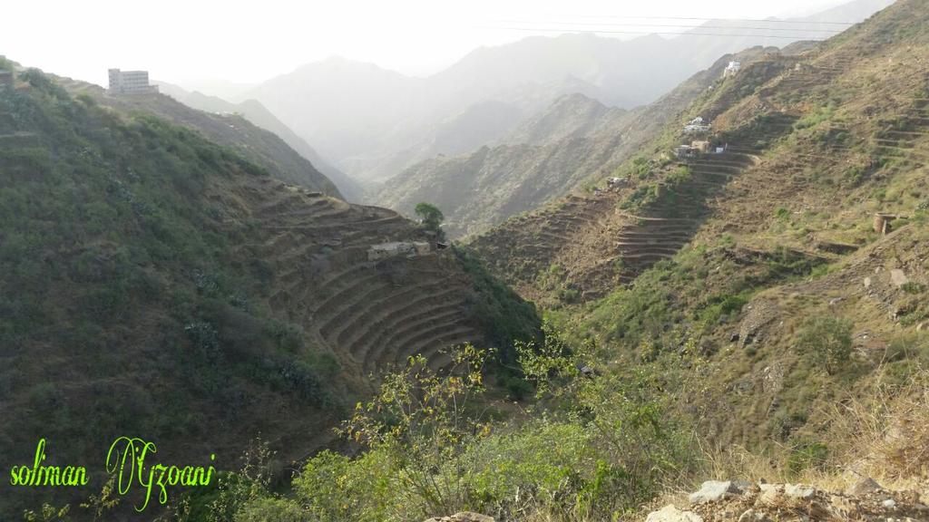 smsgazwani's tweet photo. محافظة العيدابي بلغازي /
مناظر من جبال بلغازي بعد هطول الامطار http://t.co/4m539nTQI9