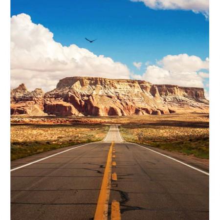From sea to shining sea, here are 10 great American road trips. fandw.me/1JMAlmP #FWx